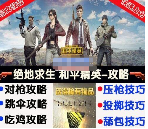 和平精英高端对局
